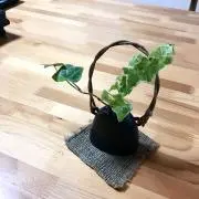 といといの画像