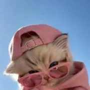 にゃの画像