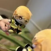 ひまの画像