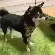 irohanail♡フォロワー様特典ありの画像