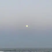 ききの画像