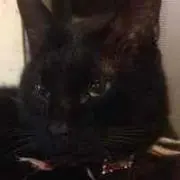 mana