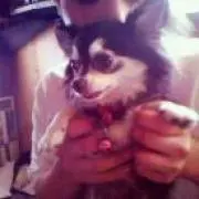 のんの画像