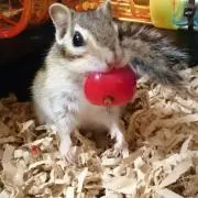 まる