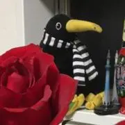 megu★プロフィール必ずお読み下さい★の画像