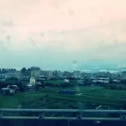 たろの画像