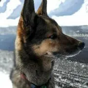 KackyPeanutsの画像