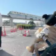 rの画像
