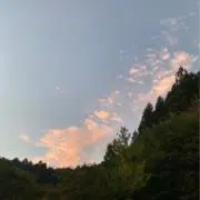 im