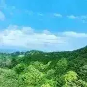 Nauha✳︎の画像