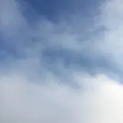 ソラの画像