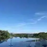 ちゃあの画像