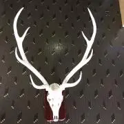 kin