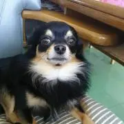 うちな～～＾＾