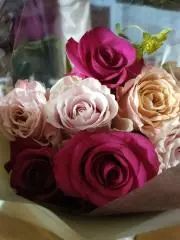 ☆薔薇☆
