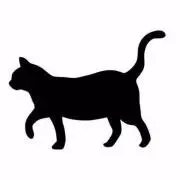 Pussy_Catの画像