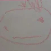 ゆるりの画像