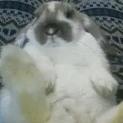 みーちゃん