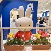 はらぺこあおむし/購入時プロフィール必読の画像