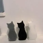 きらの画像