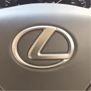 年中夢中