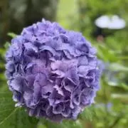 まっつ