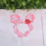 ru(プロフ必読)の画像