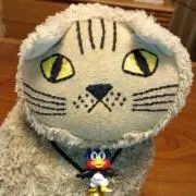 ツナの画像