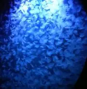 ひろ