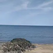 ゴン