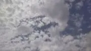 358 むらさきの画像
