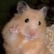 りえ