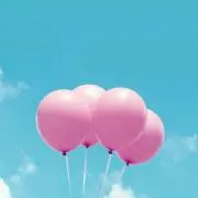 律の画像