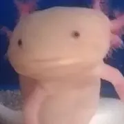 May