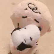 ポリっとの画像