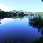RRの画像