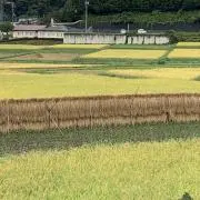 しあわせモフモフの画像
