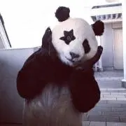 ryuji . love