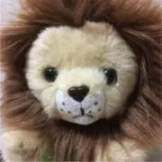 とらまめの画像