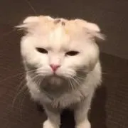えまちゃん☆プロフィール確認お願いしますの画像