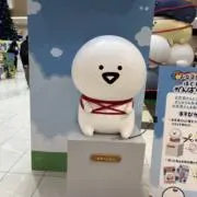 HSMの画像