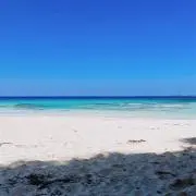 晴※プロフご参照の画像
