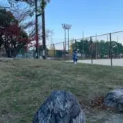 K_y'sの画像