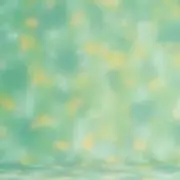 ぼちの画像