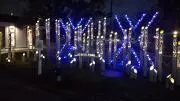 ゆんの画像