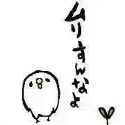 sa-yh♡の画像