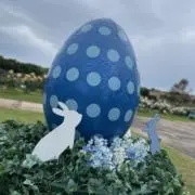 春夏秋冬の画像