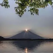 パーチン