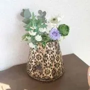 miの画像