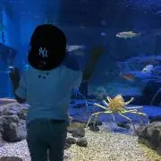 さおちゃんの画像